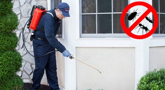 Sahilevleri Kene İlaçlama böcek ilaçlama ve haşere kontrolü — ilaclama-tr.com